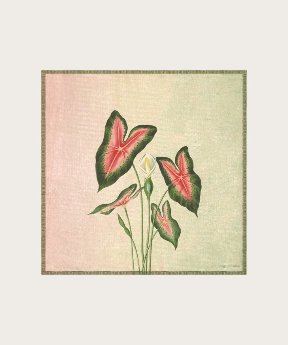 Affiche floraison 30x30