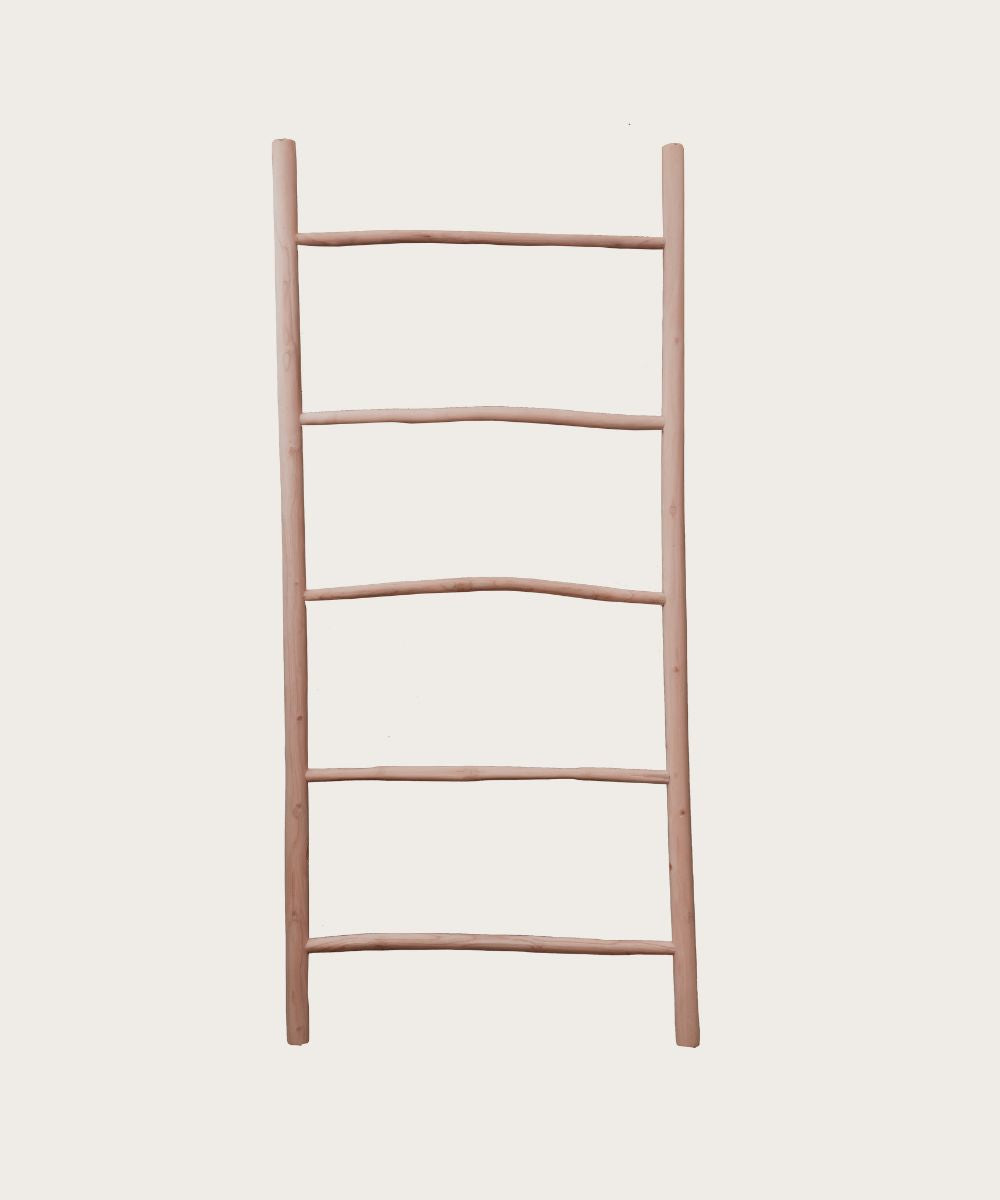 Echelle ella 45x190