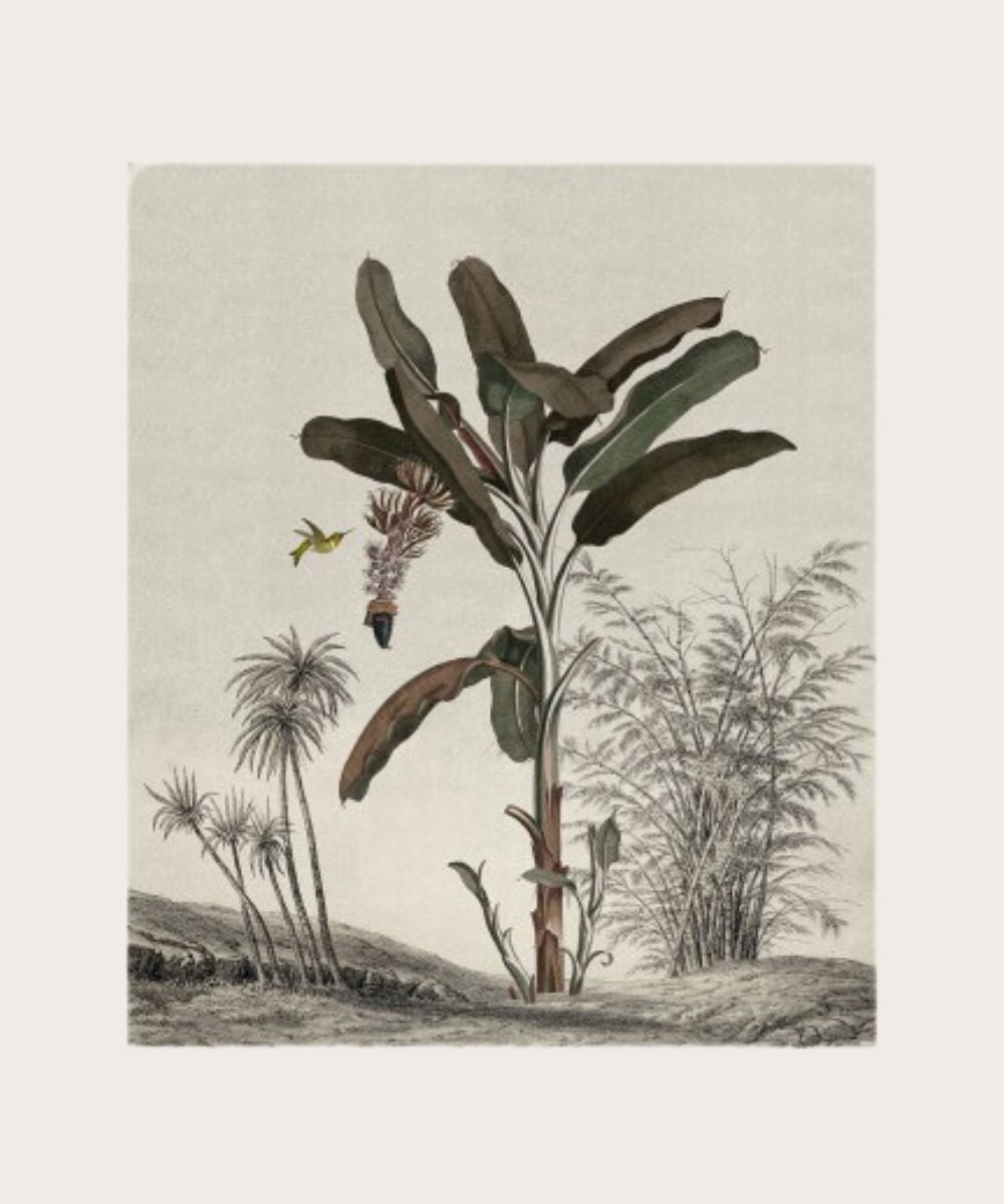 Poster geant babafique