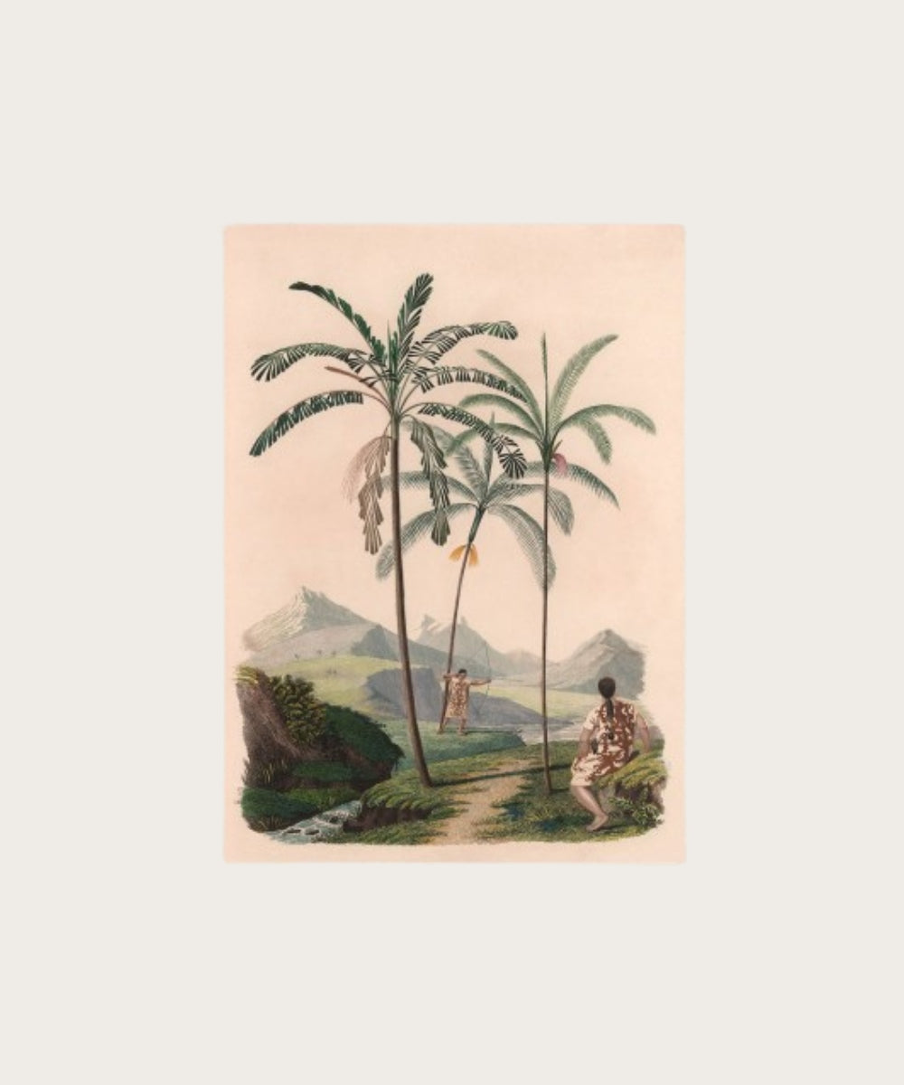 Poster geant palmier ebouriffe