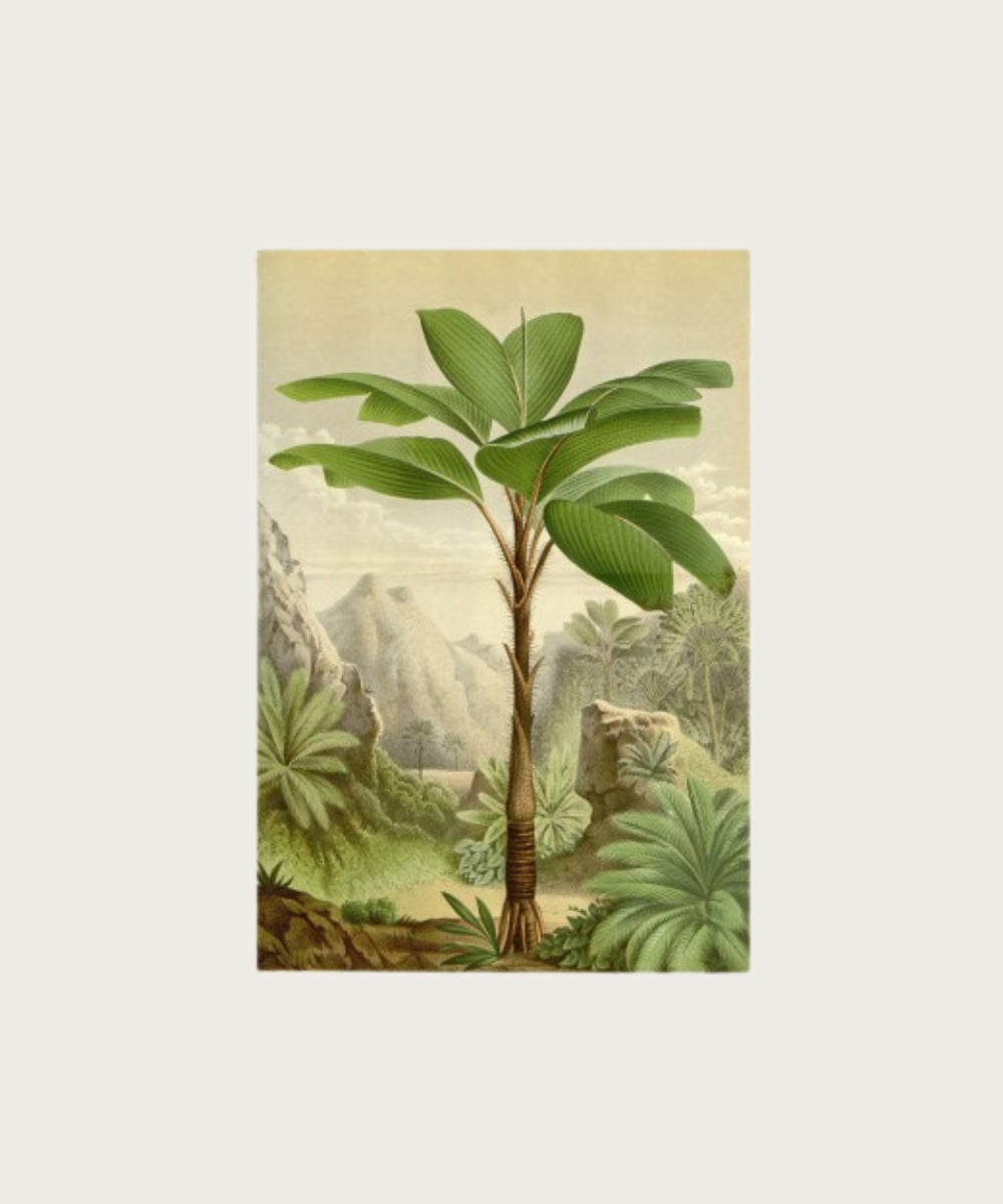 Poster geant piton des songes