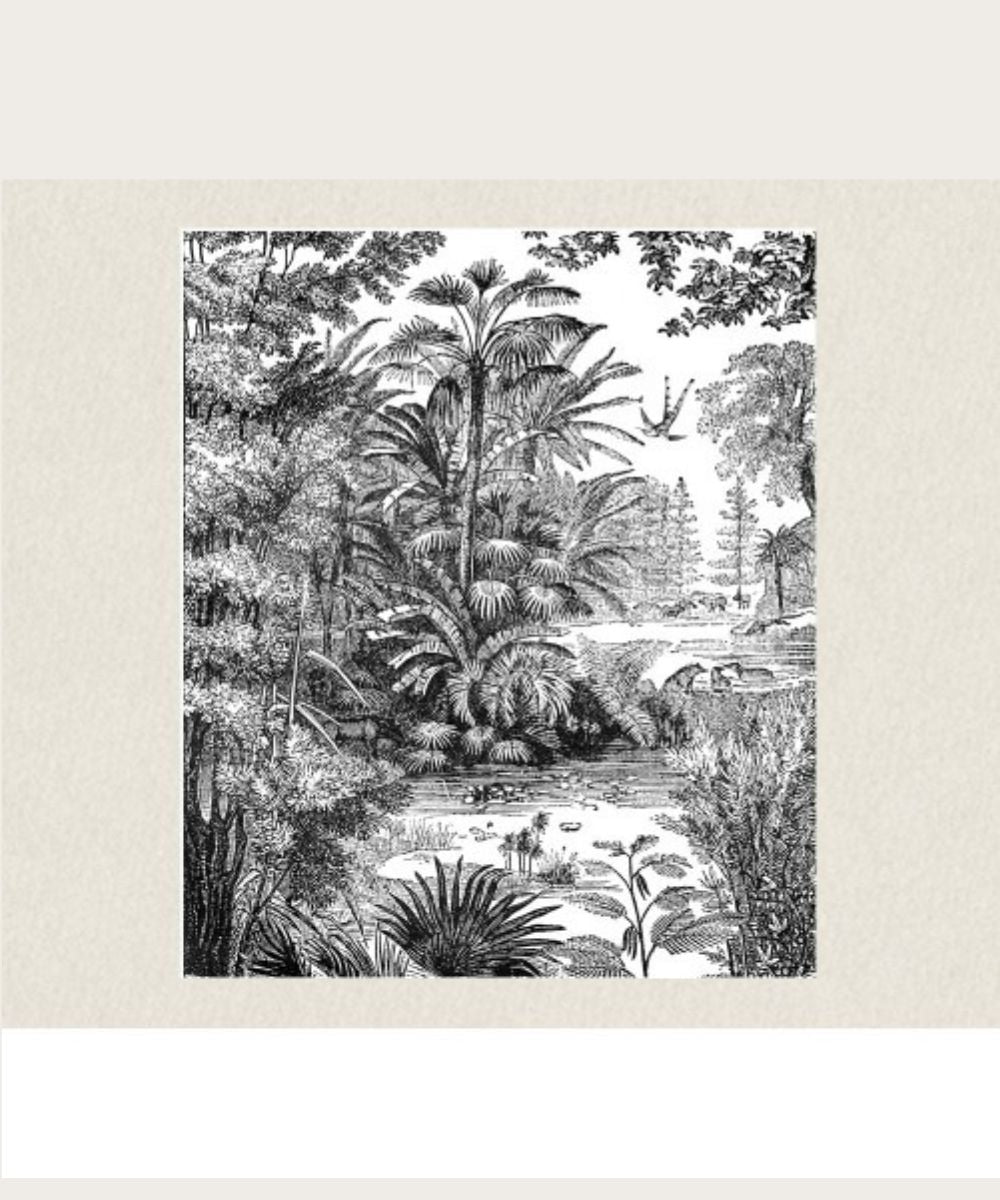 Poster geant vue belle