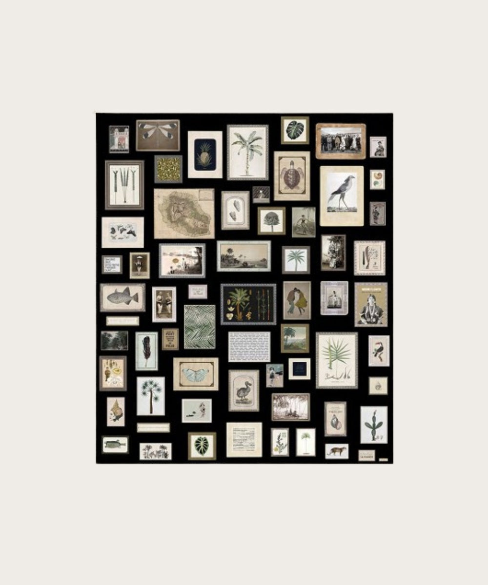 Poster geant zambrokal