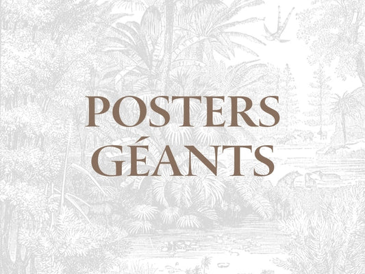 Catalogue Posters Géants