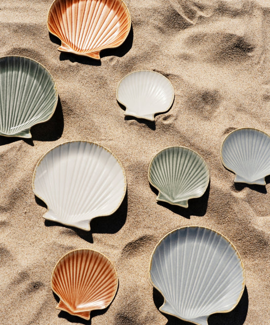 Plat coquillage d20 blanc