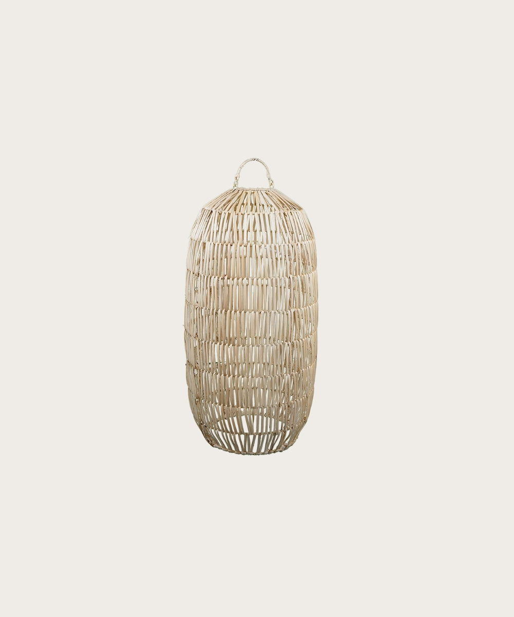 Suspension edamame h45 