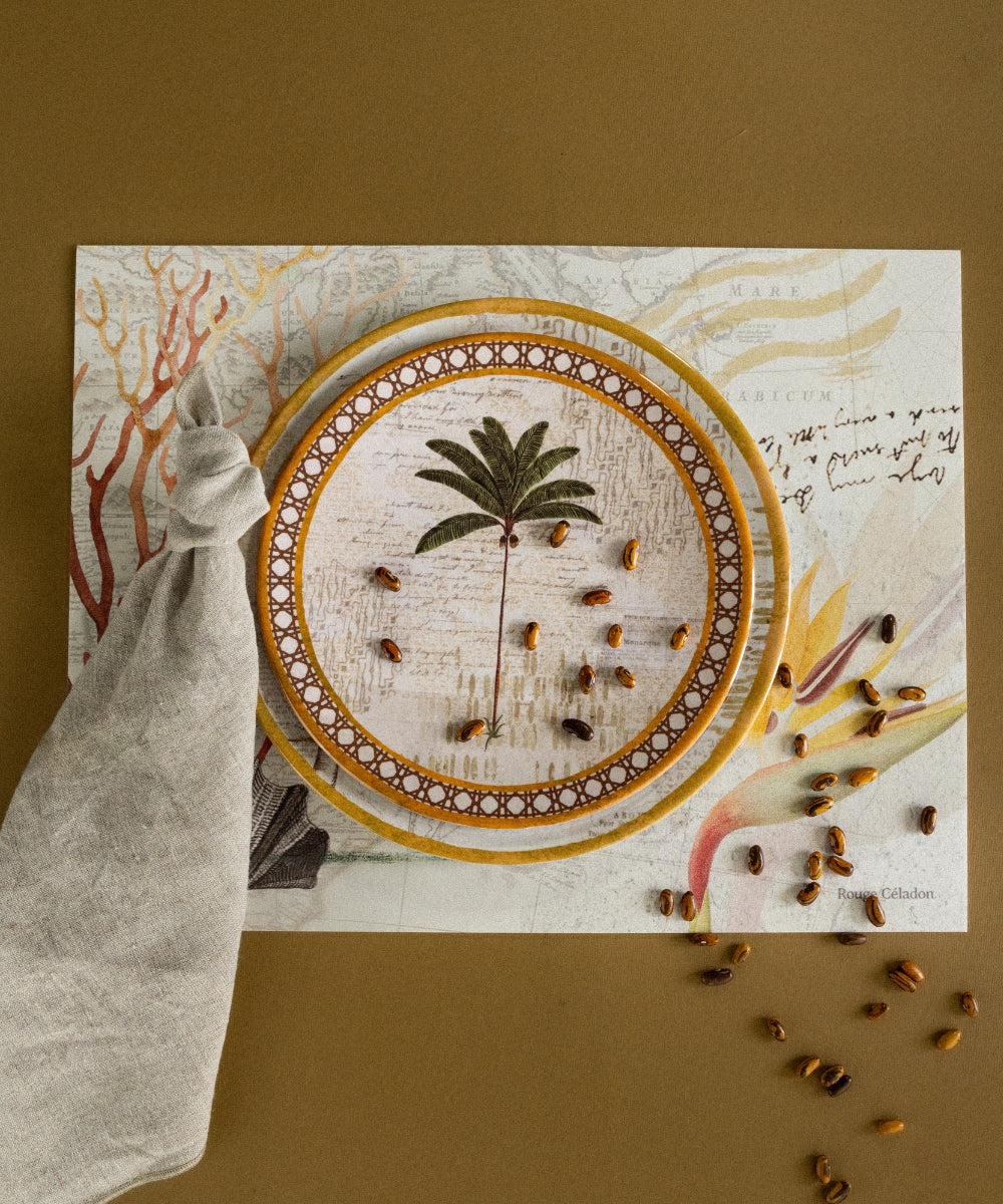 Assiette melamine isis pm