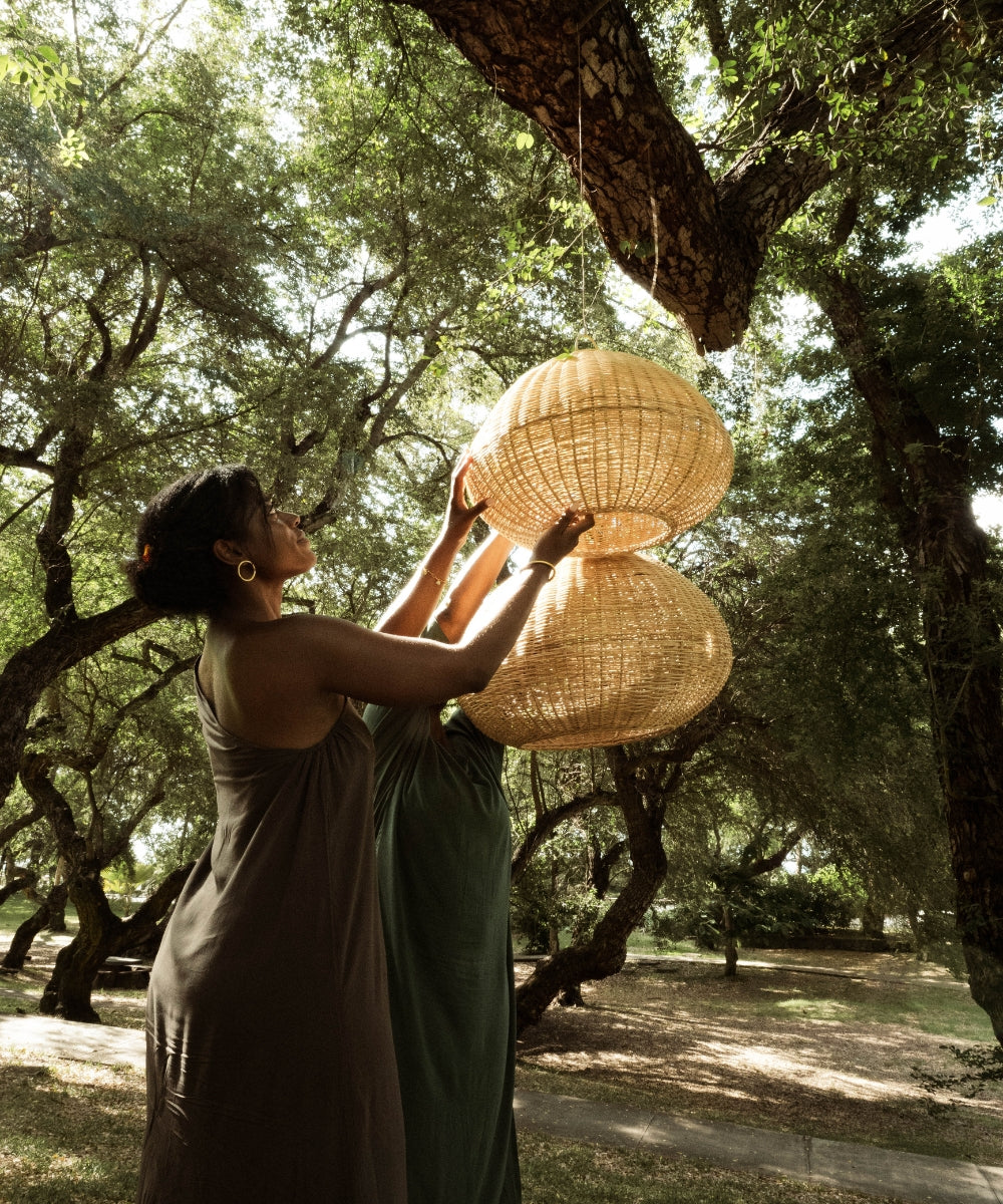 Suspension cassava d60