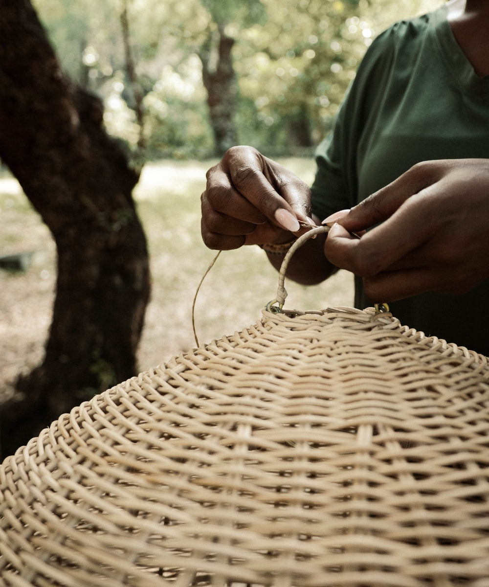 Suspension cassava d60