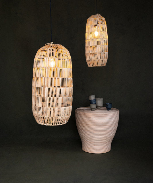 Suspension edamame h45