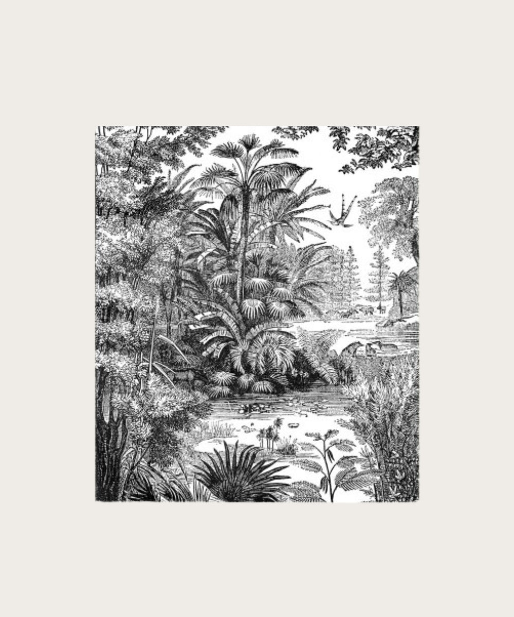 Poster géant vue belle