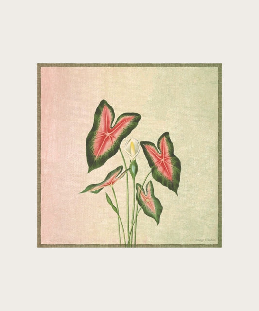 Affiche floraison 30x30 