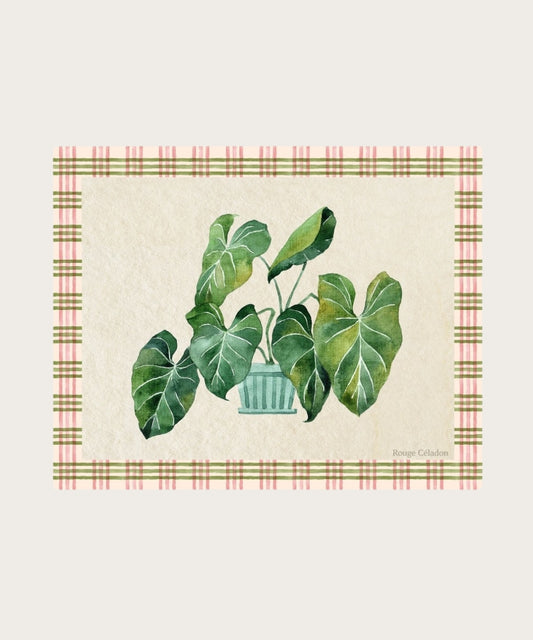 Affiche magnificum 20x25 