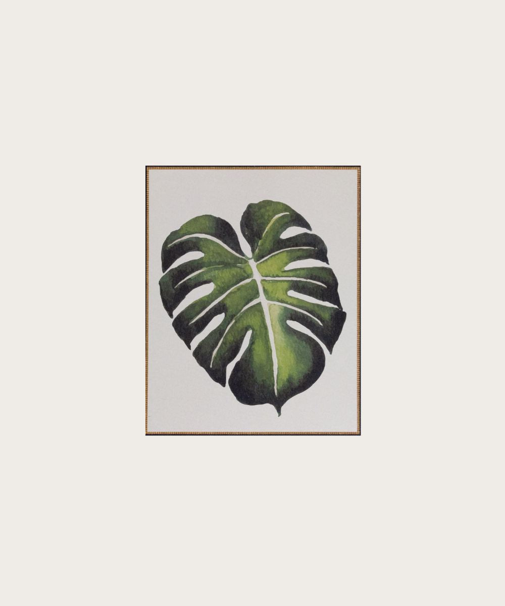 Affiche monstera 