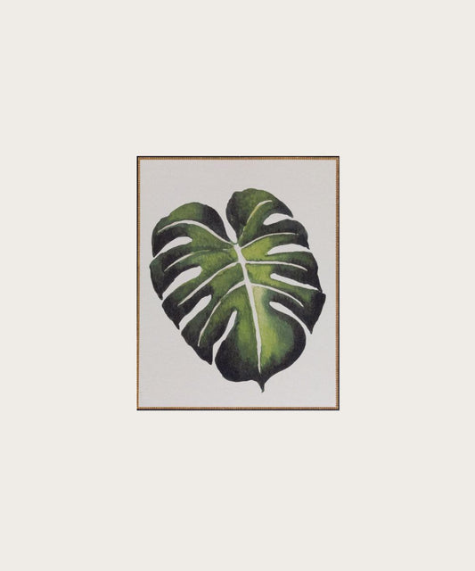 Affiche monstera 