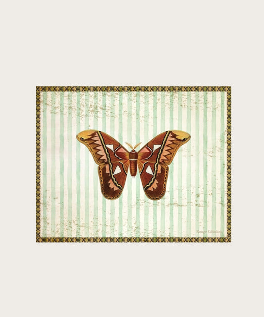 Affiche papelete 20x25 