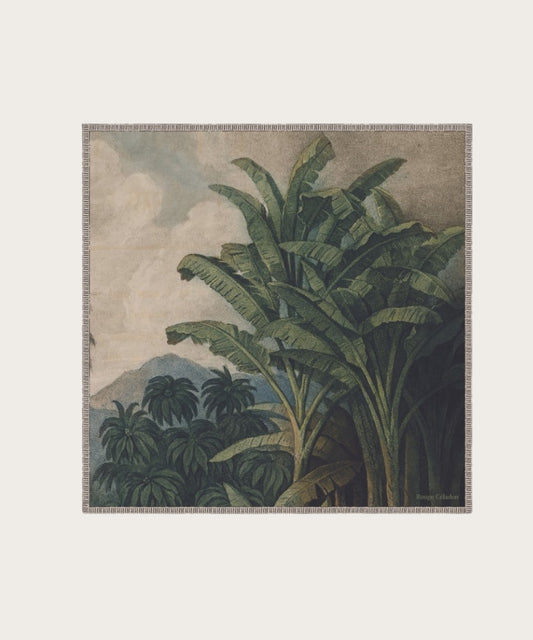 Affiche paradisia 30x30 