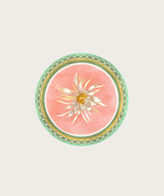 Assiette melamine pitaya 