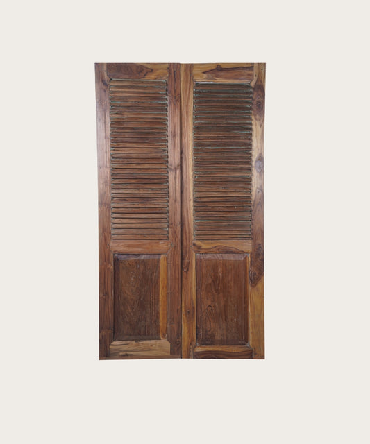 Battant porte d071124 