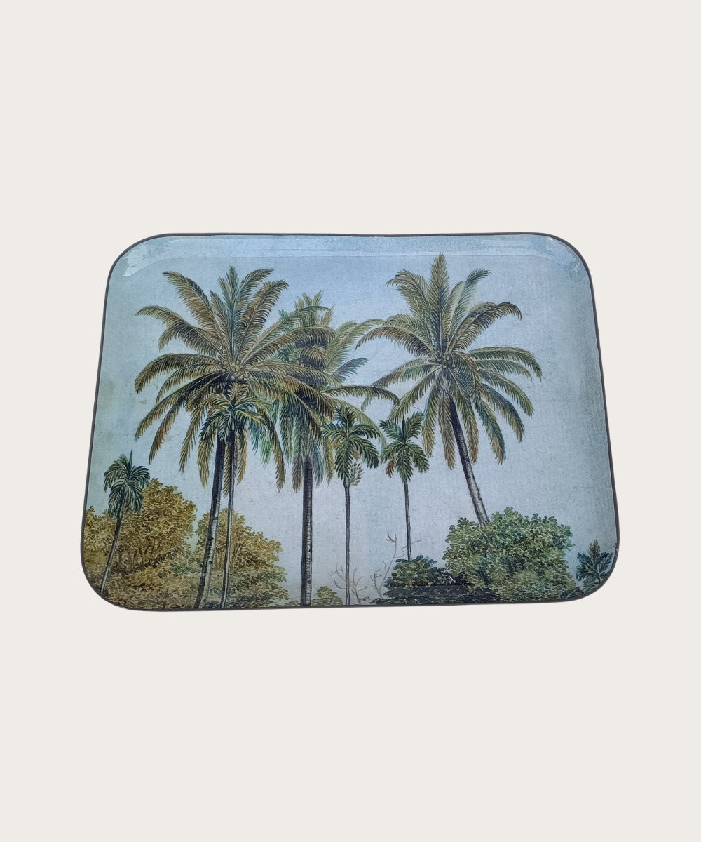 Plateau bras canot 30x39 cm 