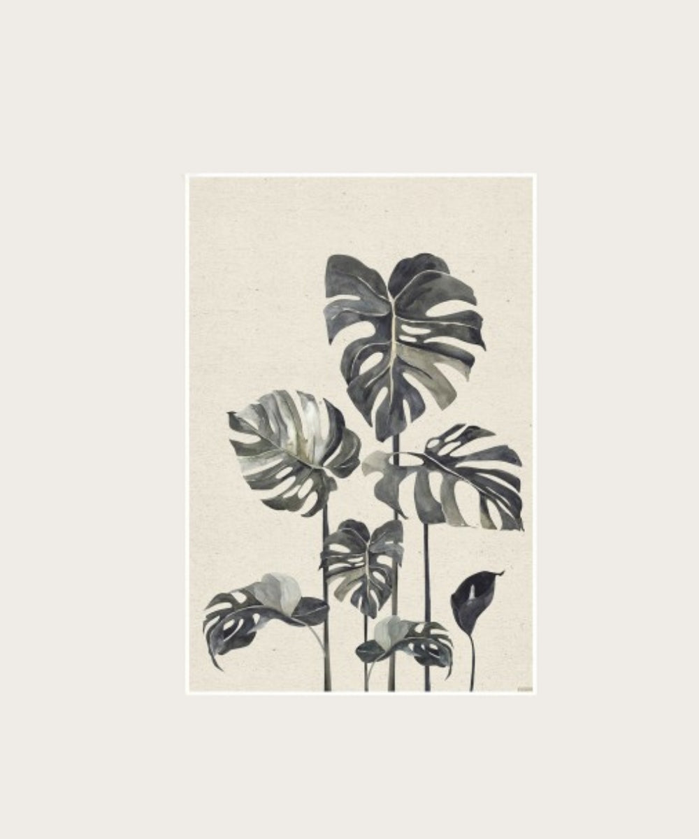 Poster geant monstera 