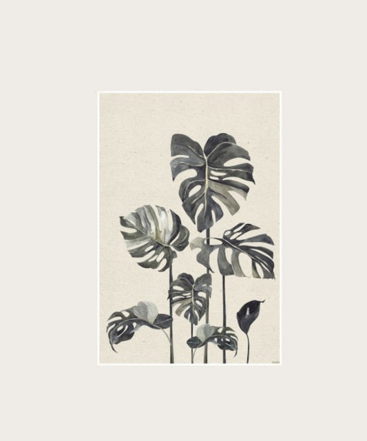Poster geant monstera 