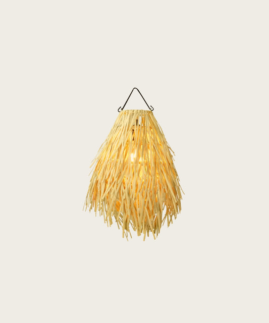 Suspension letchi 