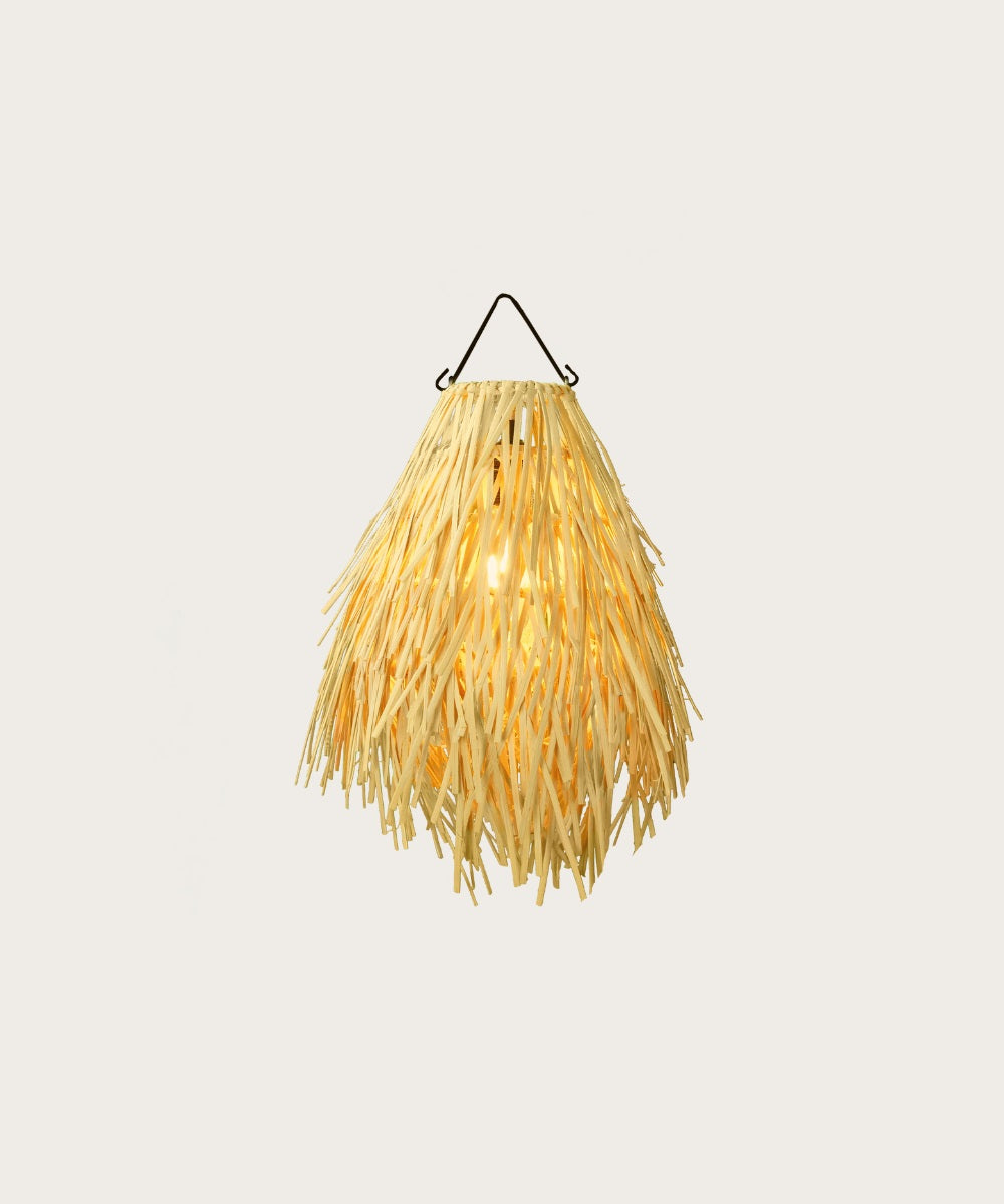 Suspension letchi 