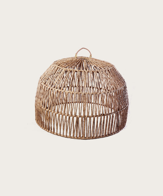 Suspension moksa 